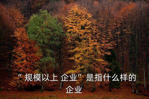 “ 規(guī)模以上 企業(yè)”是指什么樣的 企業(yè)
