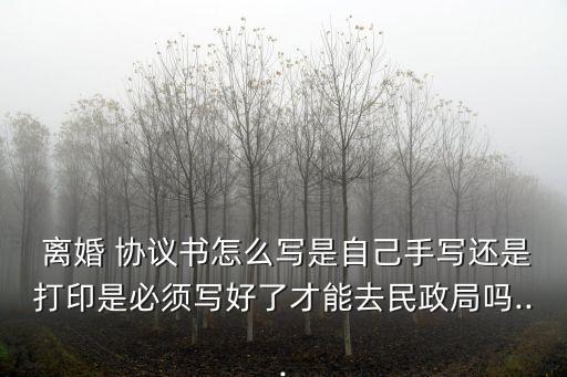 離婚協(xié)議書(shū)自己怎么寫(xiě)圖片