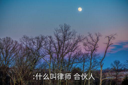什么是合伙人