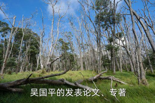  吳國平的發(fā)表論文、專著