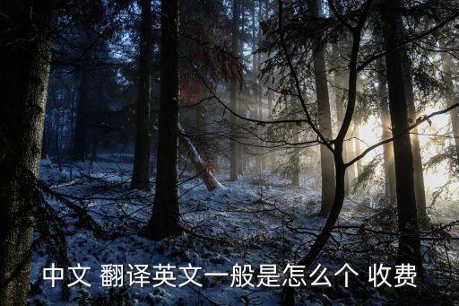 線上翻譯按什么收費的,線上英語課程收費貴嗎翻譯