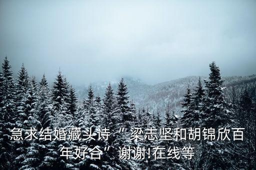 梁志堅