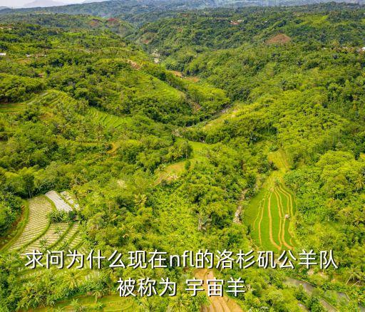 宇宙體操隊,小品宇宙體操隊