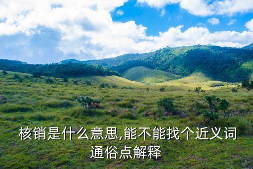  核銷是什么意思,能不能找個(gè)近義詞通俗點(diǎn)解釋