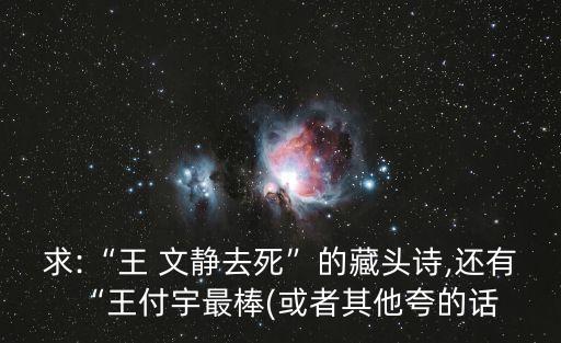求:“王 文靜去死”的藏頭詩,還有“王付宇最棒(或者其他夸的話