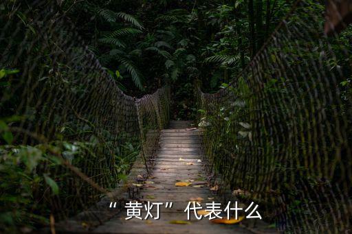 黃燈表示什么意思,車亮感嘆號黃燈表示什么意思