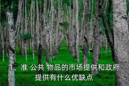 準(zhǔn)公共物品,純公共物品和準(zhǔn)公共物品