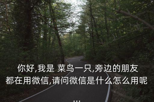 你好,我是 菜鳥一只,旁邊的朋友都在用微信,請問微信是什么怎么用呢...