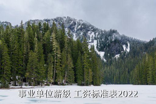 事業(yè)單位薪級(jí) 工資標(biāo)準(zhǔn)表2022