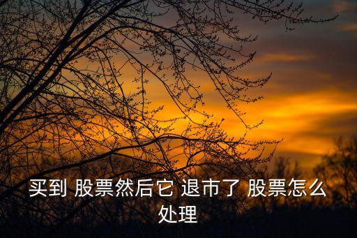 退市后股票怎么辦,600978退市后股票怎么辦