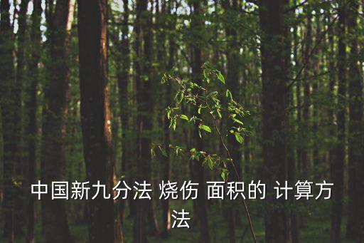 中國新九分法 燒傷 面積的 計(jì)算方法