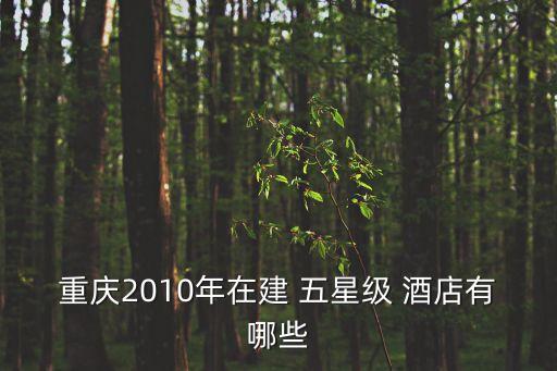 重慶2010年在建 五星級 酒店有哪些