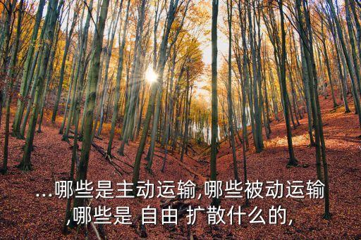 ...哪些是主動(dòng)運(yùn)輸,哪些被動(dòng)運(yùn)輸,哪些是 自由 擴(kuò)散什么的,