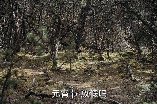 元宵節(jié)不放假嗎,2023年元宵節(jié)放假幾天