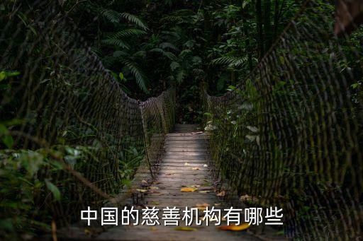 中國婦女發(fā)展基金會,她創(chuàng)業(yè)計劃中國婦女發(fā)展基金會