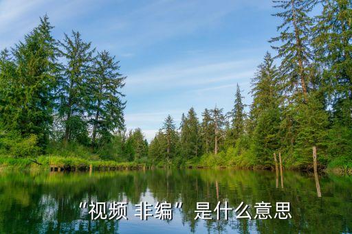 “視頻 非編”是什么意思