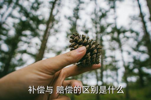  補償與 賠償?shù)膮^(qū)別是什么