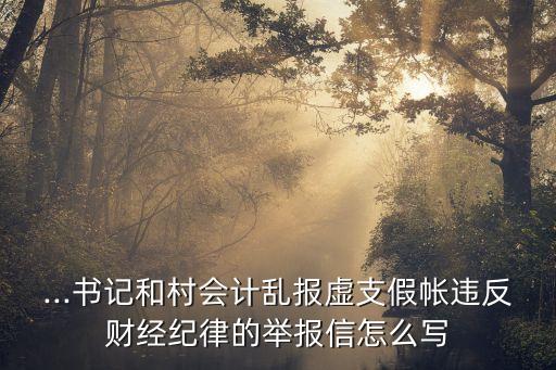 ...書記和村會計亂報虛支假帳違反財經(jīng)紀律的舉報信怎么寫