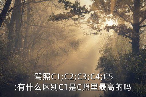 駕照c1