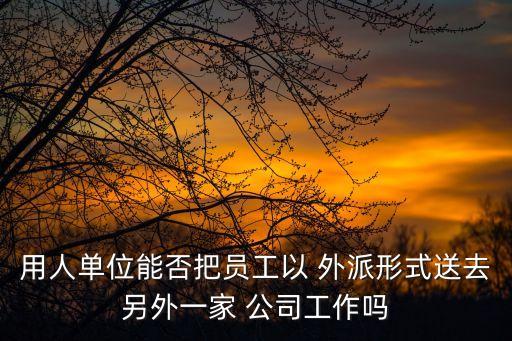 外派勞務(wù)公司,商務(wù)部怎么查詢外派勞務(wù)公司