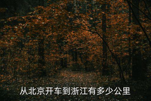 杭州站街