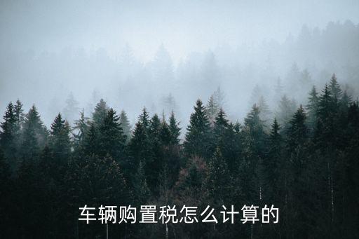 購車稅怎么算,購置稅計(jì)算器