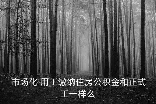  市場化 用工繳納住房公積金和正式工一樣么