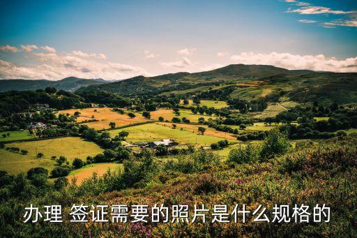 辦理 簽證需要的照片是什么規(guī)格的