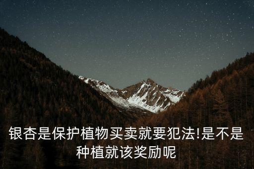 銀杏是保護(hù)植物買(mǎi)賣(mài)就要犯法!是不是種植就該獎(jiǎng)勵(lì)呢