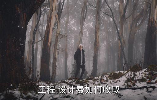 工程設(shè)計(jì)取費(fèi)標(biāo)準(zhǔn)
