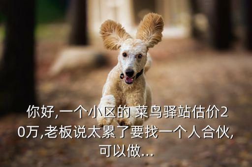  你好,一個小區(qū)的 菜鳥驛站估價20萬,老板說太累了要找一個人合伙,可以做...