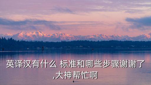 英譯漢有什么 標(biāo)準(zhǔn)和哪些步驟謝謝了,大神幫忙啊