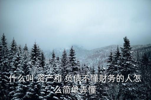 資產(chǎn)和負(fù)債的區(qū)別,什么叫資產(chǎn)什么叫負(fù)債