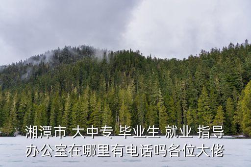 湘潭市 大中專(zhuān) 畢業(yè)生 就業(yè) 指導(dǎo)辦公室在哪里有電話嗎各位大佬