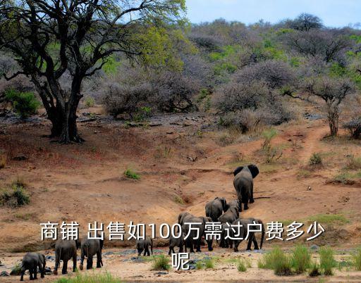  商鋪 出售如100萬(wàn)需過(guò)戶費(fèi)多少呢