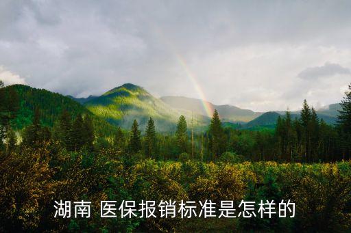 湖南 醫(yī)保報銷標(biāo)準(zhǔn)是怎樣的
