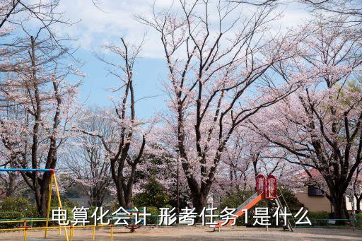 電算化會計 形考任務1是什么