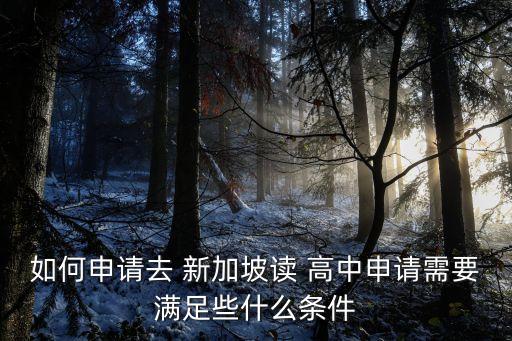 新加坡高中留學