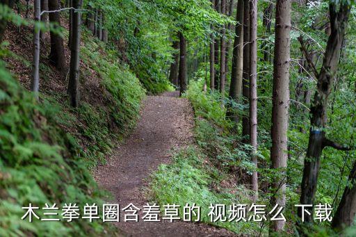 黃色視頻下載器