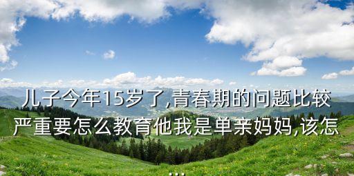 兒子今年15歲了,青春期的問題比較嚴(yán)重要怎么教育他我是單親媽媽,該怎...