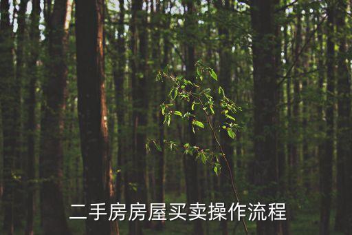 二手房怎么交易,私人之間買賣二手房怎么交易