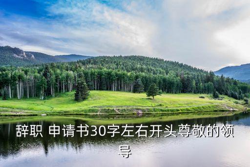 辭去職務(wù)申請書,公務(wù)員辭去職務(wù)申請書