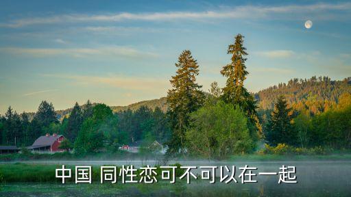 中國 同性戀可不可以在一起