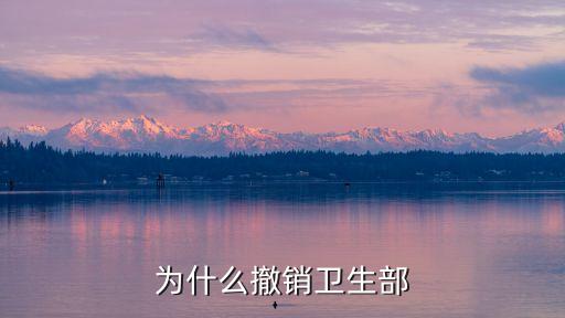 為什么撤銷衛(wèi)生部