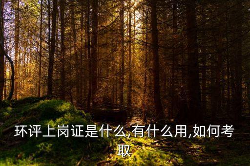 環(huán)評證