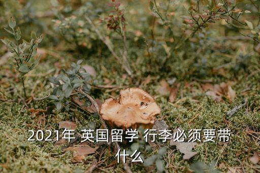 2021年 英國留學(xué) 行李必須要帶什么