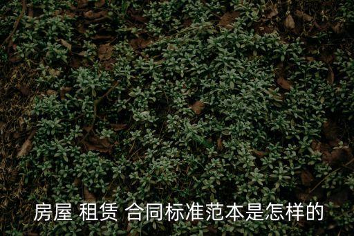  房屋 租賃 合同標準范本是怎樣的