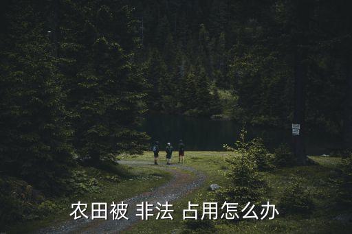 農田被 非法 占用怎么辦