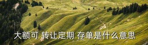 大額可轉(zhuǎn)讓存單