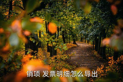  銷項(xiàng) 發(fā)票明細(xì)怎么導(dǎo)出